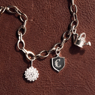 Link Charm Bracelet
