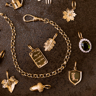 Lydia Millen Evergreen Initial Crest Charm With Albert Vintage Chain Necklace