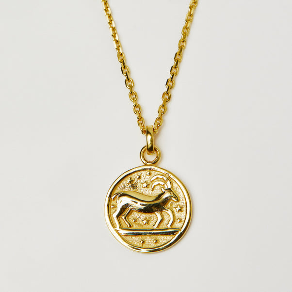 Horoscope Zodiac Pendant Necklace In Gold Vermeil - Necklace - Carrie Elizabeth