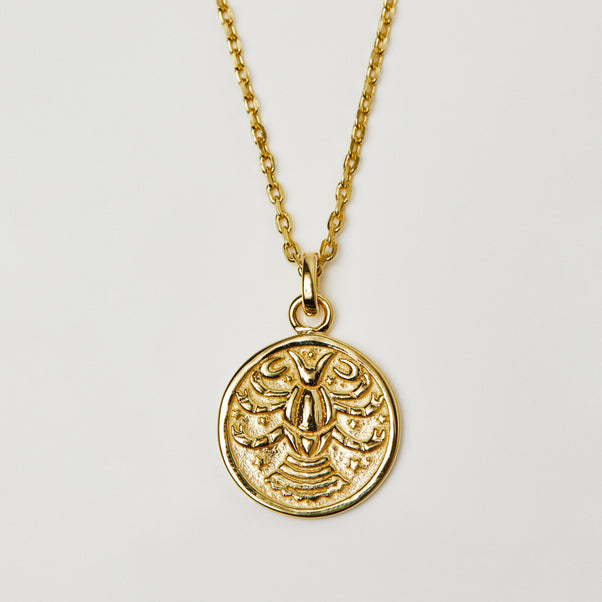 Horoscope Zodiac Pendant Necklace In Gold Vermeil - Necklace - Carrie Elizabeth