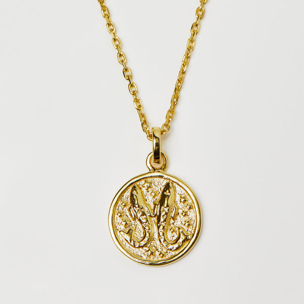 Horoscope Zodiac Pendant Necklace In Gold Vermeil - Necklace - Carrie Elizabeth