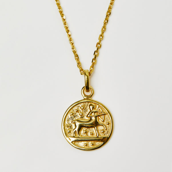 Horoscope Zodiac Pendant Necklace In Gold Vermeil - Necklace - Carrie Elizabeth