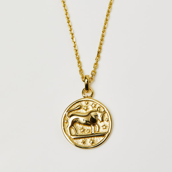 Horoscope Zodiac Engravable Coin Necklace