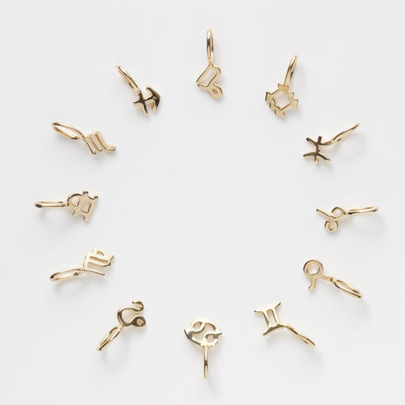 Zodiac Charm