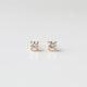 Diamond Stud Earrings