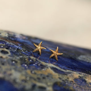starfish stud earring gold
