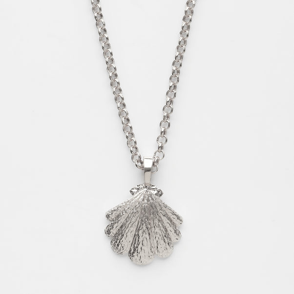 Shell rolo chain necklace