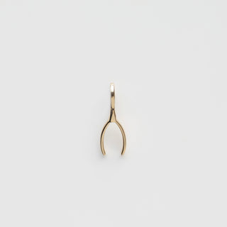 Treasured Wishbone Charm