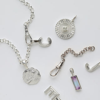 Albert Dog Clip Extender Chain