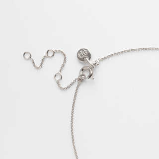 Carrie Elizabeth Carry YOu with me locket