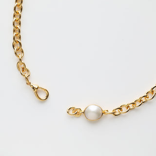 carrie elizabeth gold plated dog clip necklace