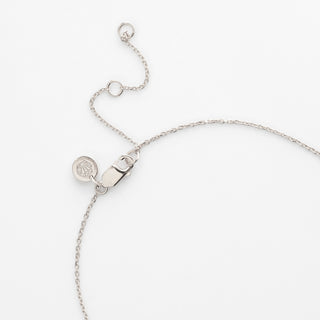 Carrie Elizabeth Clasp