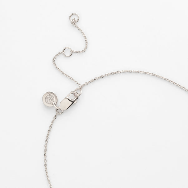 Carrie Elizabeth Clasp