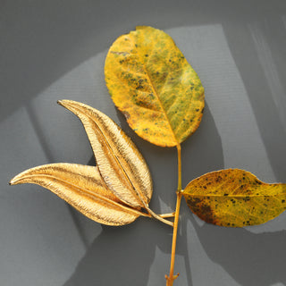 CE Vintage 80's Gold Plated Statement Leaves Brooch