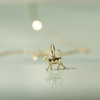 Treasured Cat Charm