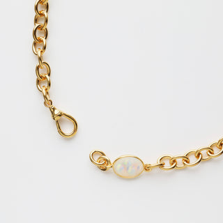 gold chunky dog clip necklace