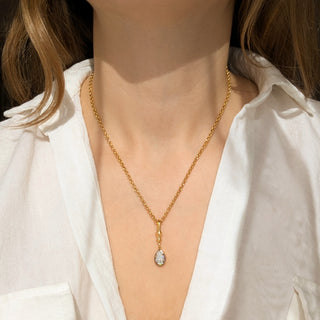 Carrie Elizabeth Moissanite Dog Clip Pendant with Rolo Chain
