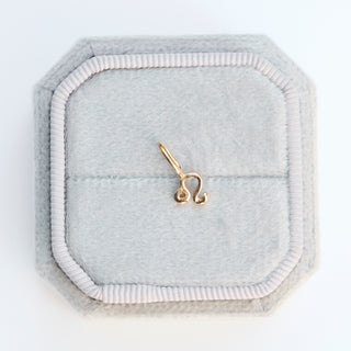 SAMPLE SALE- Leo Charm