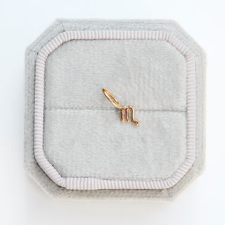 SAMPLE SALE- Scorpio Charm