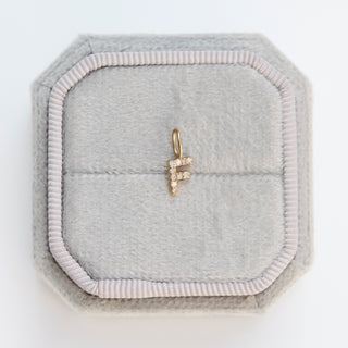 SAMPLE SALE- Diamond F Charm
