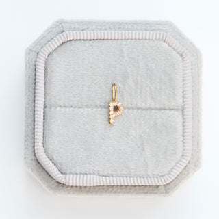 SAMPLE SALE- Diamond P Charm