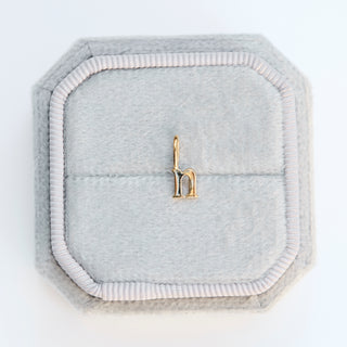 SAMPLE SALE- N letter Charm