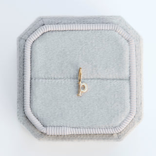 SAMPLE SALE- P letter Charm