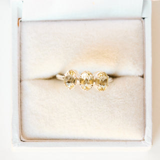 SAMPLE SALE- Past Present Future Ring - UK size L