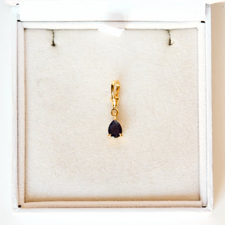SAMPLE SALE- Sapphire Albert Clip Charm