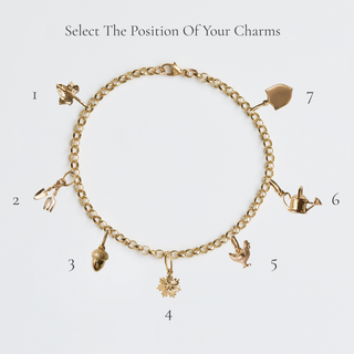 Treasured Link Charm Bracelet