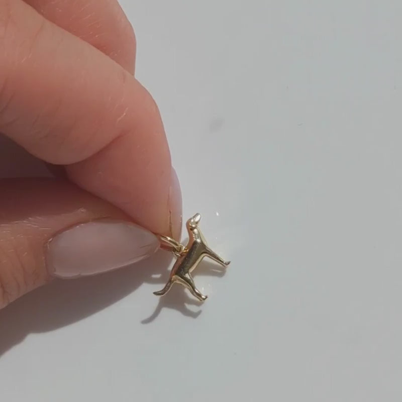 Treasured Labrador Dog Charm