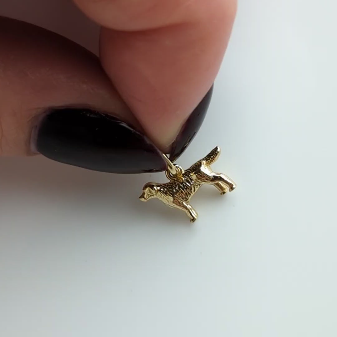 carrie elizabeth 9k dog charm