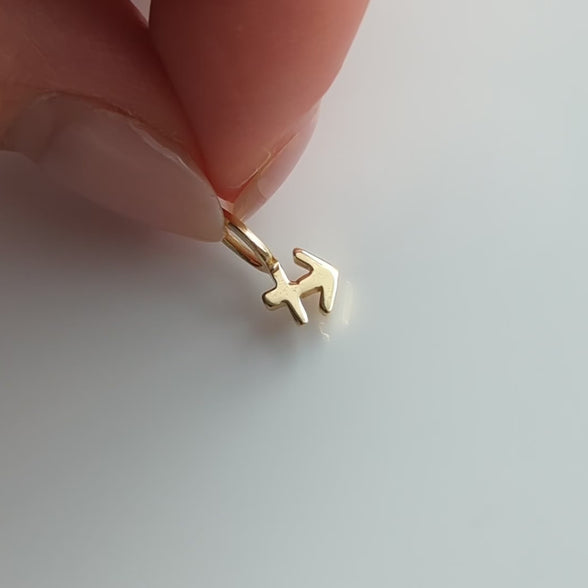 Zodiac Charm