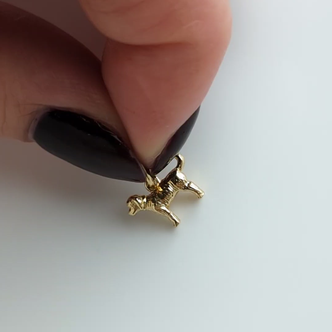 carrie elizabeth cockapoo dog charm