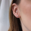 silver robin earrings