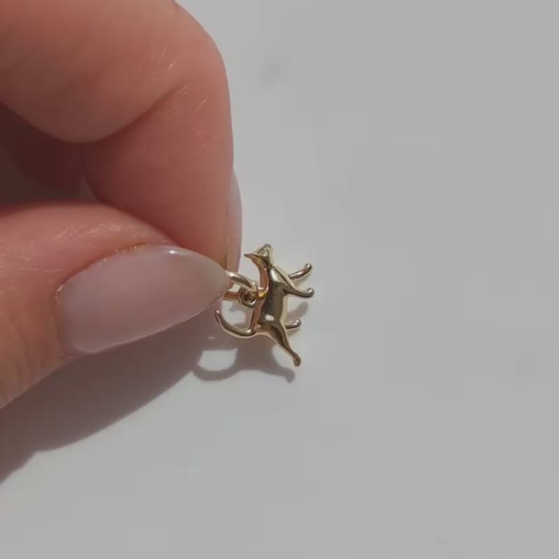 Treasured Cat Charm