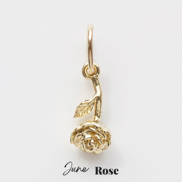 Carrie elizabeth birth flower charms 9k solid gold