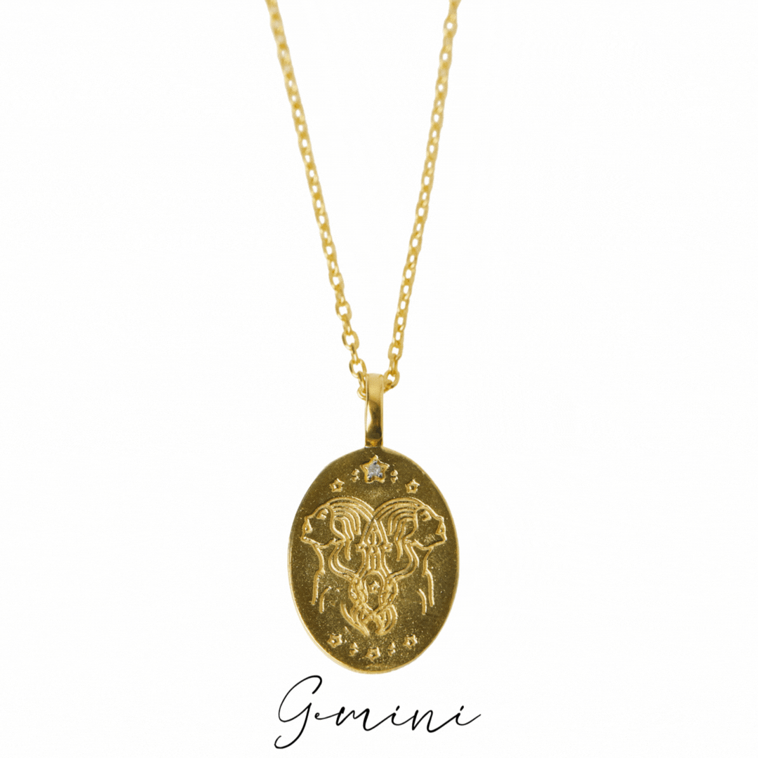 Diamond Detail Horoscope Coin Necklace